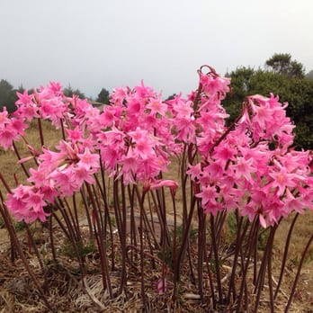 Sea Ranch Golf Links - Golf Near Me - Sea Ranch, California