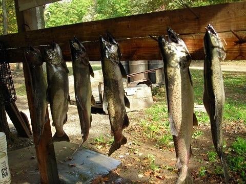 Fox Hollow Lodge by null