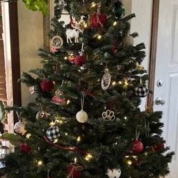 The Angel (that lights up) my Christmas tree lights have a different end so she won't be lighting up this year.