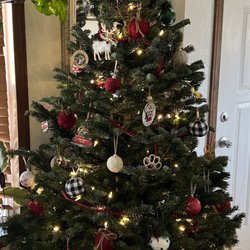Mozart's - The Angel (that lights up) my Christmas tree lights have a different end so she won't be lighting up this year.