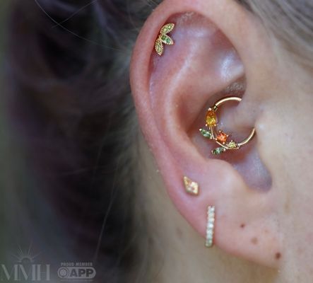 Daith Piercings - A selection of both fresh and healed daith piercings