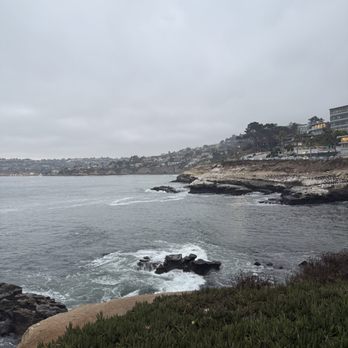 La Jolla Cove - Wildlife at La Jolla - Parks Near Me - La Jolla, California La Jolla Cove - Wildlife at La Jolla - Parks Near Me - La Jolla, California