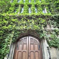 The Joseph Bond Chapel - Bond Chapel for a guided meditation