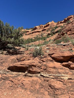 Birthing Cave by null