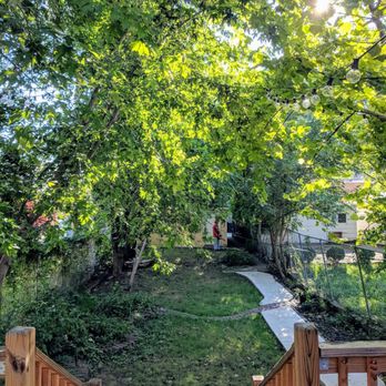 A1 Tree Service - Before.. - Tree Services Near Me - Chicago, Illinois