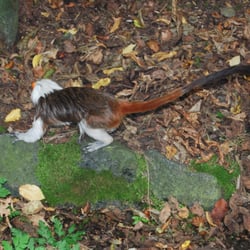 Tierpark Herborn