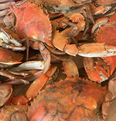 Fisherman's Crab Deck by null