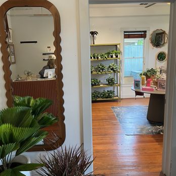 Oasis Plant Shop - Inside - Nurseries & Gardening Near Me - Dallas, Texas