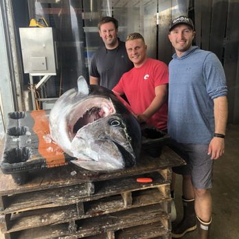 Hit List Sportfishing - Fishing Near Me - Gloucester, Massachusetts Hit List Sportfishing - Fishing Near Me - Gloucester, Massachusetts