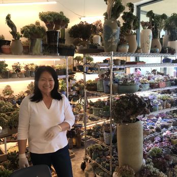 Four Seasons Succulents - Nurseries & Gardening Near Me - San Leandro, California Four Seasons Succulents - Nurseries & Gardening Near Me - San Leandro, California