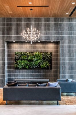 535 Carlton Apartments by null