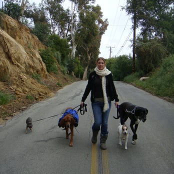 The Peaceful Pup - 805.646.PUPS - Pet Sitting Near Me The Peaceful Pup - 805.646.PUPS - Pet Sitting Near Me