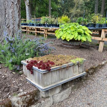 Sebright Gardens - Nurseries & Gardening Near Me - Salem, Oregon