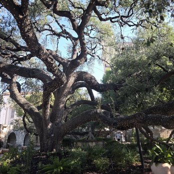 The Alamo - Museums Near Me - San Antonio, Texas The Alamo - Museums Near Me - San Antonio, Texas