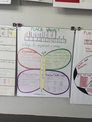 Aguamarina Elementary by null