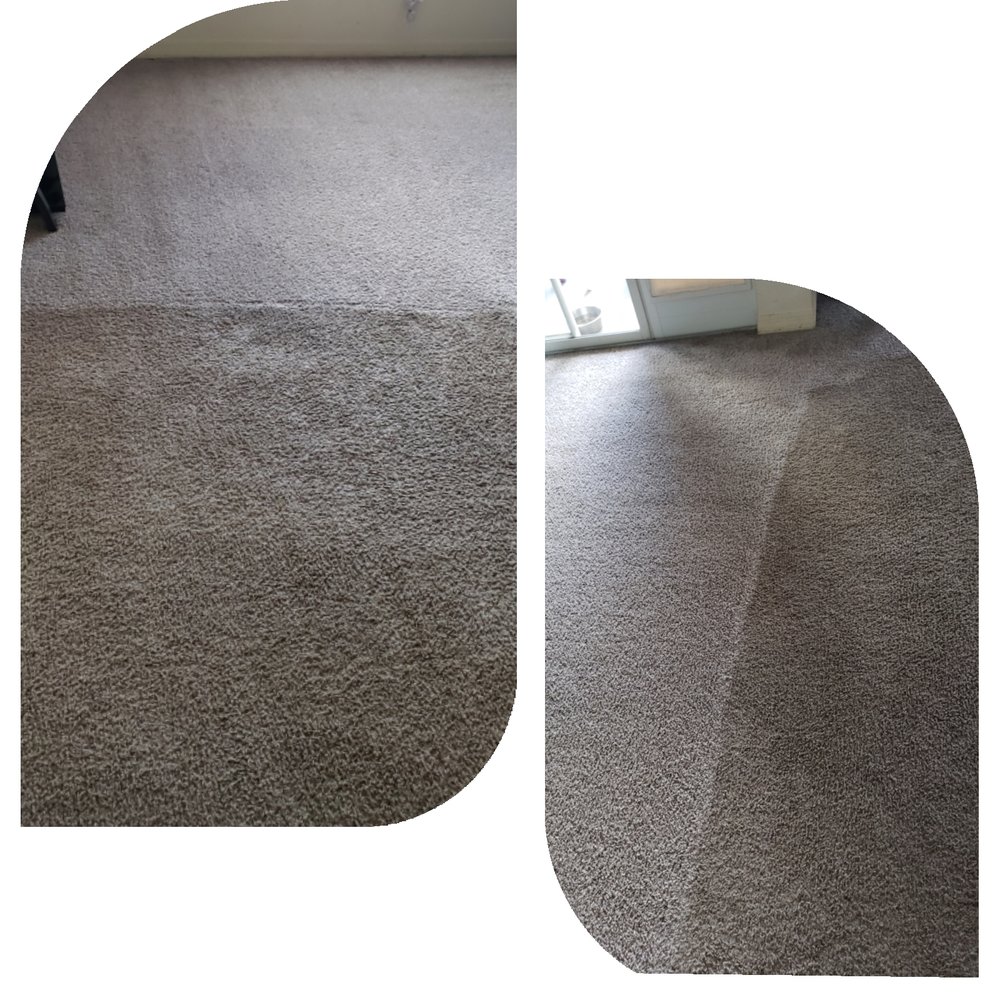 Top Notch Carpet Care - upholstery in Orange Park, FL