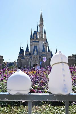 Tokyo Disneyland by null