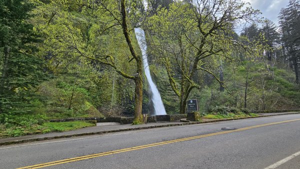Horsetail Falls by null