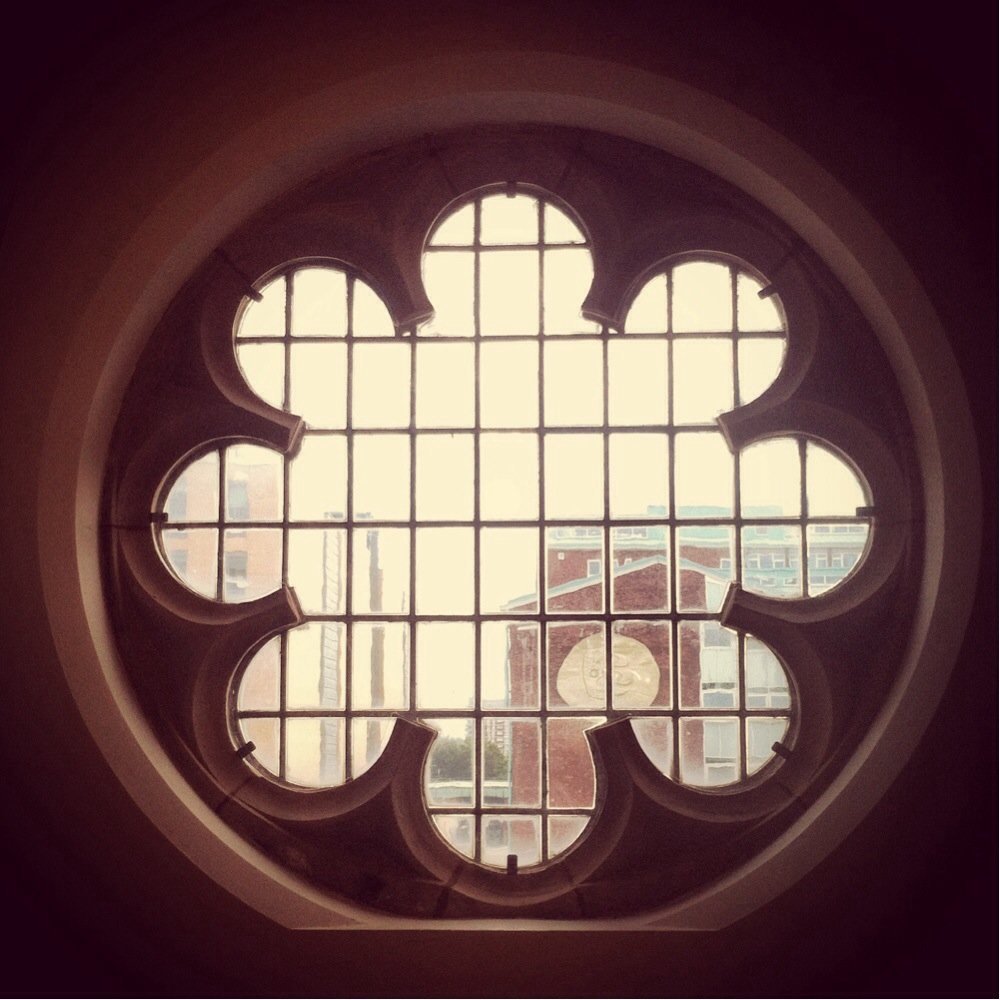 Manchester Museum - Museums Near Me - Manchester, XGM Manchester Museum - Museums Near Me - Manchester, XGM