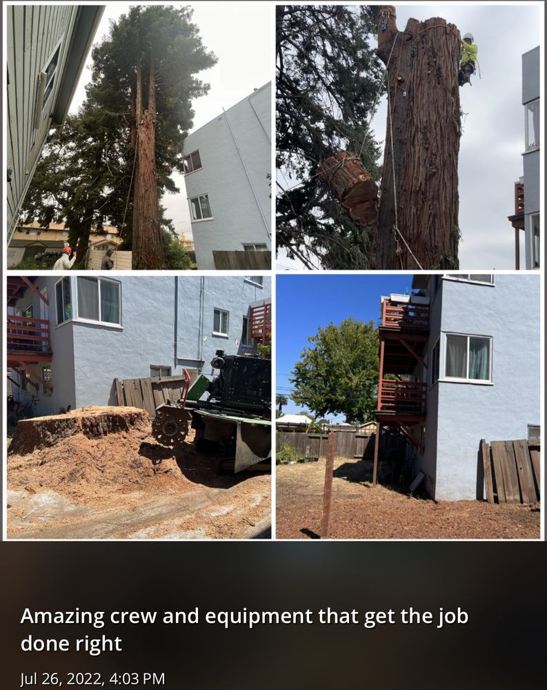 Cal Line Tree Care - tree service in San Mateo, CA