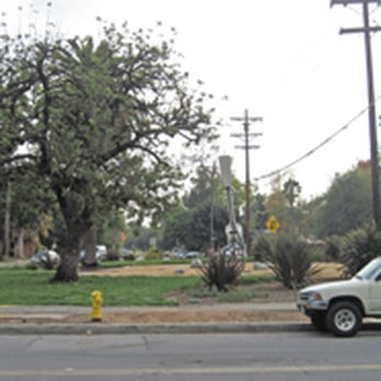 Fork in the Road - A view of the plaza where the Fork in the Road is stuck - Local Flavor Near Me - Pasadena, California Fork in the Road - A view of the plaza where the Fork in the Road is stuck - Local Flavor Near Me - Pasadena, California