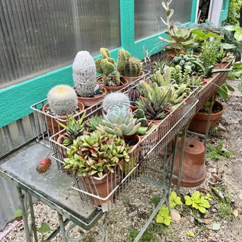 Two Fish Gallery - Cacti and succulents - Art Galleries Near Me - Elkhart Lake, Wisconsin