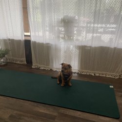 Earth Yoga