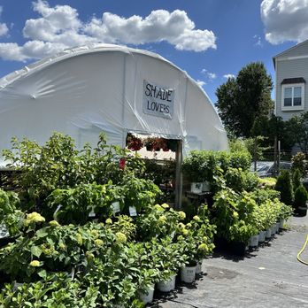 Greenstreet Gardens - Nurseries & Gardening Near Me - Alexandria, Virginia