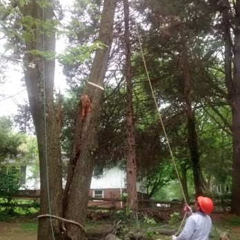 Amada Landscaping - a man cutting a tree with a chainsaw - Landscaping Near Me - Manassas, Virginia