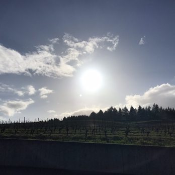 Hawks View Winery - So pretty here! - Wine Tasting Room Near Me - Sherwood, Oregon