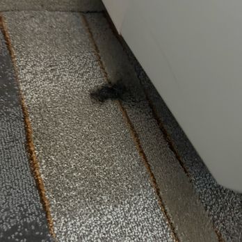 Crowne Plaza - BLACK MOLD DIDNT NOTICE TILL CHECK OUT W A BABY !!! - Hotels Near Me - Shenandoah, Texas
