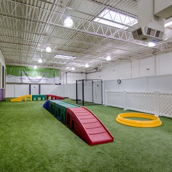 Yuppy Puppy - Large indoor play area - Pet Groomers Near Me - Lake Bluff, Illinois Yuppy Puppy - Large indoor play area - Pet Groomers Near Me - Lake Bluff, Illinois