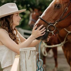 Franconia Notch Stables - Friendly horses