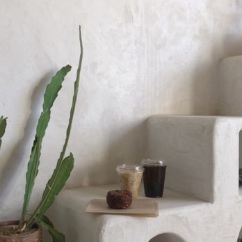 Palomino Coffee - Their wall is decorated with plants and pottery! Here is a cold brew latte and iced americano with a kouign amann! - Coffee & Tea Near Me - Austin, Texas