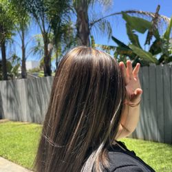 Highlights