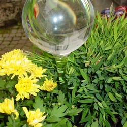 Meersburger Glasmanufaktur - Wasserspender