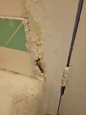 Hotel del Flores by null