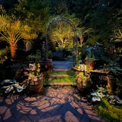 Valley Nursery - My garden at dusk.