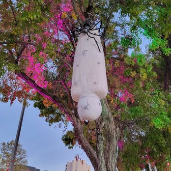 Hauntoween - Amusement Parks Near Me - Los Angeles, California Hauntoween - Amusement Parks Near Me - Los Angeles, California
