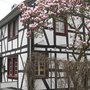 Photo of Gasthaus Steinhof