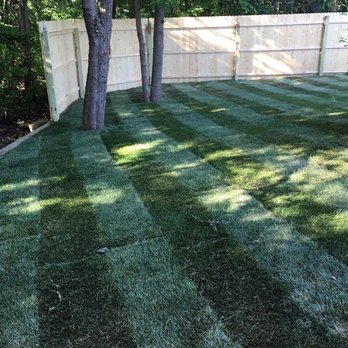 Wellshire Lawn Care - Lawn Services Near Me Wellshire Lawn Care - Lawn Services Near Me