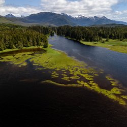 Fireweed Lodge