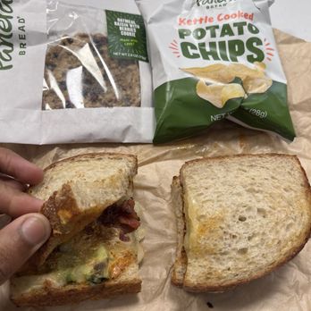 Panera Bread - Bacon Avocado Melt was delicious.slight sour/barely taste since it might be sourdough bread.nice piece of cheese n avocado - Salad Near Me - New York, New York