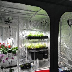 Quick Grow Supercenter