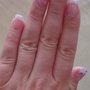Lee Nagelstudio