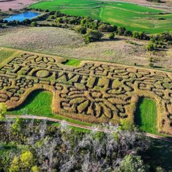 Howell's Greenhouse and Pumpkin Patch - Corn Maze