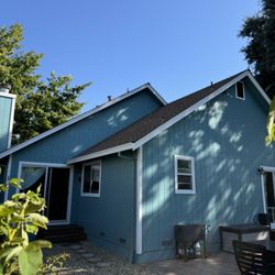 Sean's Painting Services
