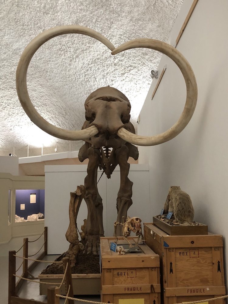 Social spots from Sternberg Museum of Natural History