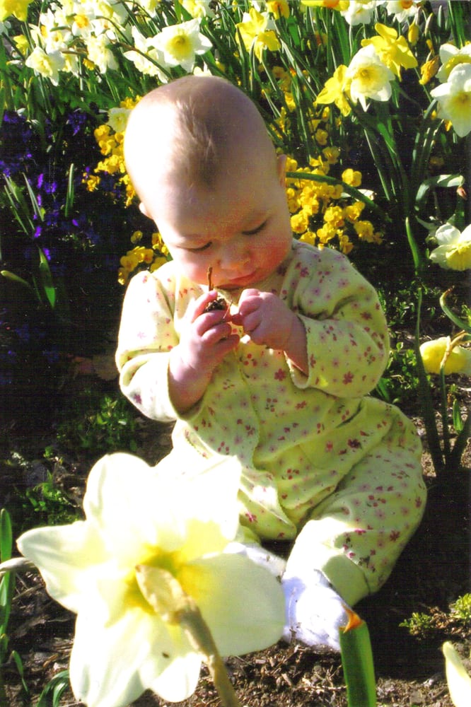 Baby Farm ABQ - childcare center in Albuquerque, NM