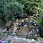 Photo of Serenity Scapes